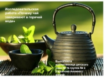 Презентация по окружающему миру : Почему чай заваривают горячей водой