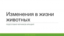 Изменения в жизни животных летом