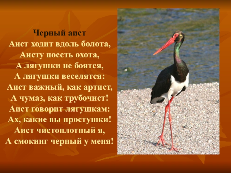 Животные из красной книги томской области фото и описание