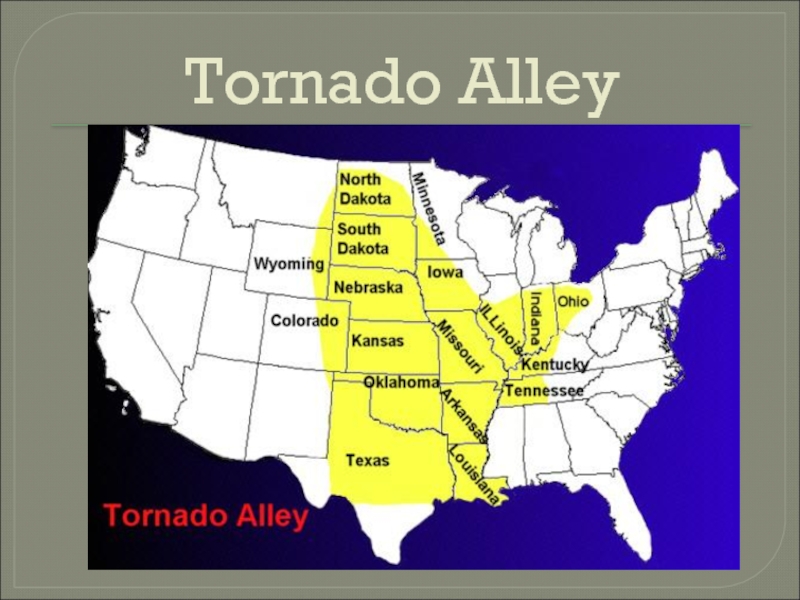 Карта аллеи торнадо