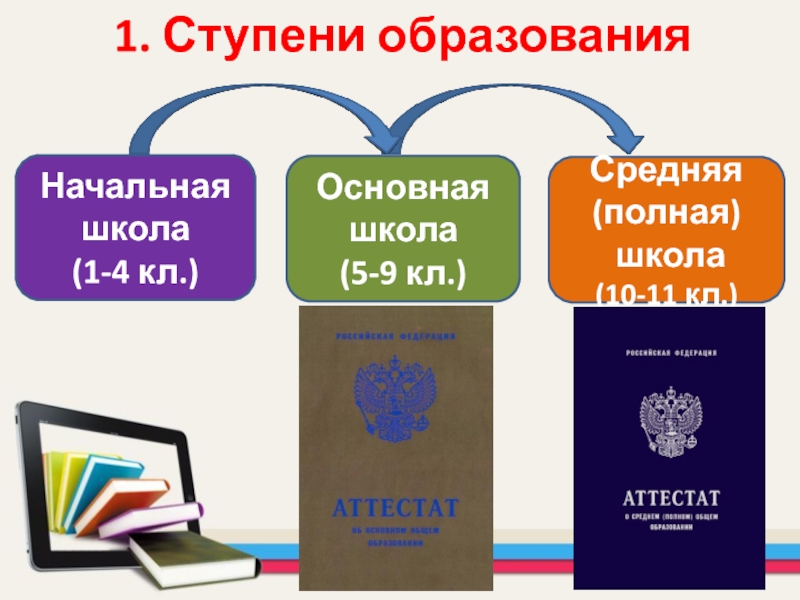 Ступени образования схема