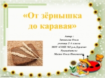 Презентация исследовательской работы От зернышка до каравая