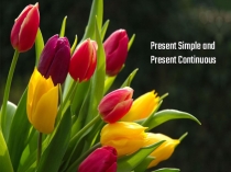 Презентация по английскому языку на тему Future Simple, Present Continuous
