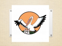 Презентация по русскому языку на тему  Время глагола (3 класс)