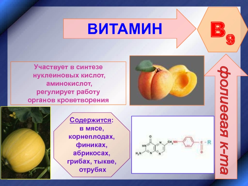 ВИТАМИН B9фолиевая к-та Участвует в синтезе нуклеиновых кислот, аминокислот,регулирует работу органов кроветворенияСодержится:в мясе, корнеплодах,финиках, абрикосах, грибах, тыкве,