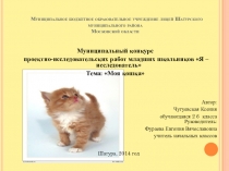 Презентация к исследовательской работе Моя кошка