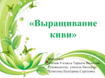 Презентация по факультативному занятию Я- исследователь природы на темуВыращивание киви(6 класс)