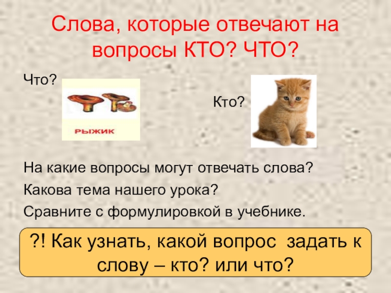 Какое из трех слов обозначает вид меховой. Слова которые отвечают на вопрос кто. Какие слова отвечают на вопрос что. Слова которые отвечают на вопрос что. Слова отвечает на вопрос кто или что.