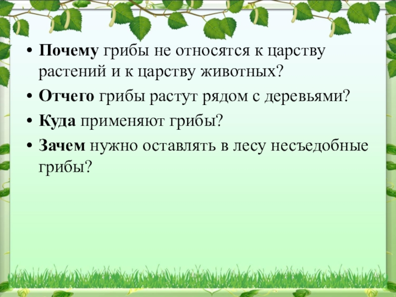 Почему грибы считают. Почему грибы не относятся к царству растений и животных. Грибы относятся к растениям. Почему грибы не относят к царству растений. Грибы относятся к царству растений и животных.