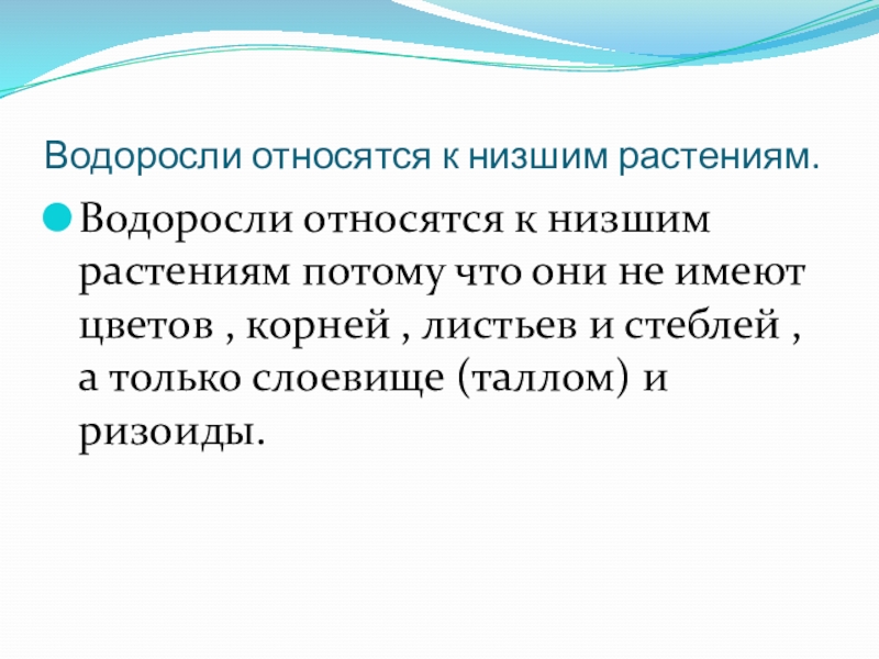 Почему водоросли относятся