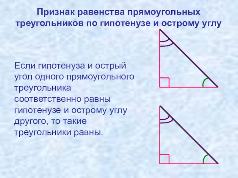 Гипотенуза острого треугольника. Признак равенства треугольников по гипотенузе и острому углу. Признак равенства по гипотенузе и острому углу. Признаки равенства прямоугольных треугольников по гипотенузе. Равенство треугольников по гипотенузе и острому углу.