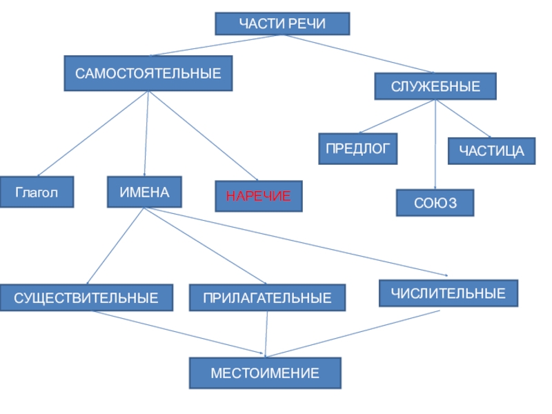 Ментальная карта служебные части речи