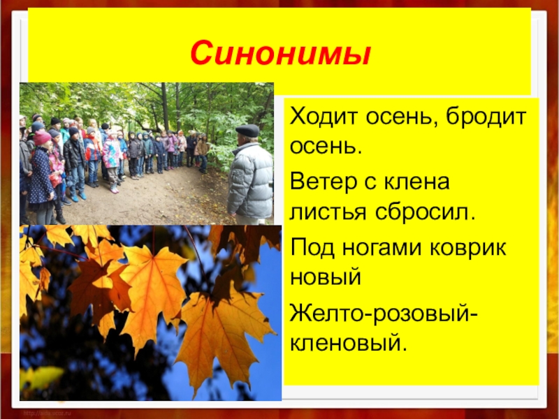 Осень осень листья сбросил. Синонимы к слову осень. Синонимы на тему осень. Синонимы и антонимы про осень. Антонимы на тему осень.