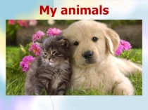 ПРЕЗЕНТАЦИЯ К УРОКУ АНГЛИЙСКОГО ЯЗЫКА MY ANIMALS (2 КЛАСС)