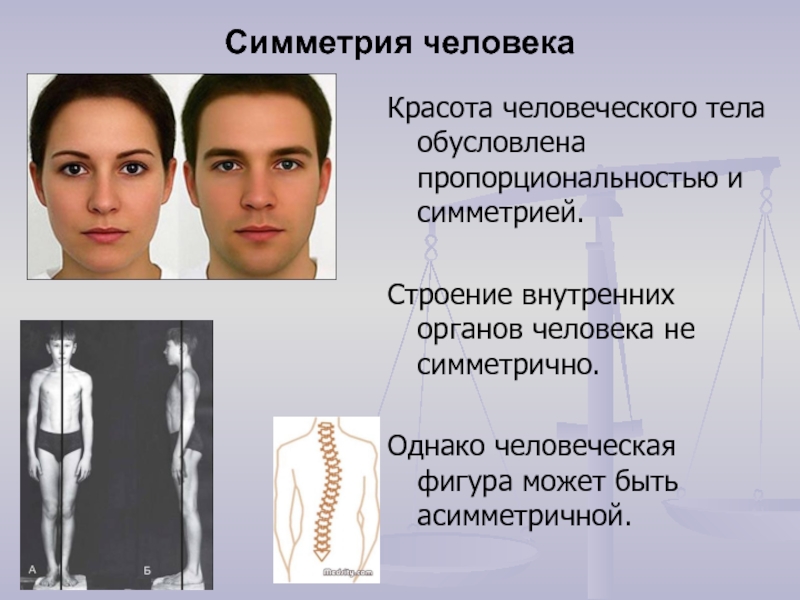 Симметрия в медицине презентация