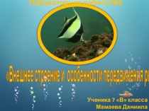 Презентация Внешнее строение и передвижение рыб
