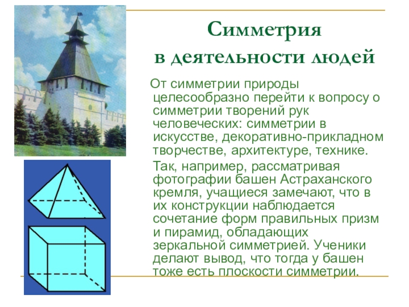 Симметрия в природе 6 класс проект