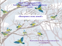 Презентация Покормите птиц зимой