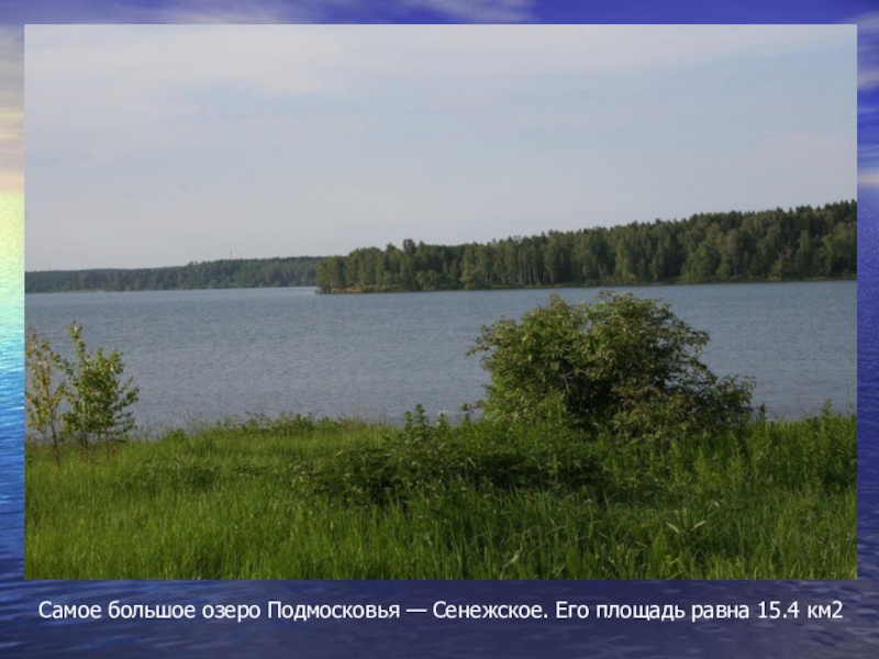 Прогноз в озерах московской области