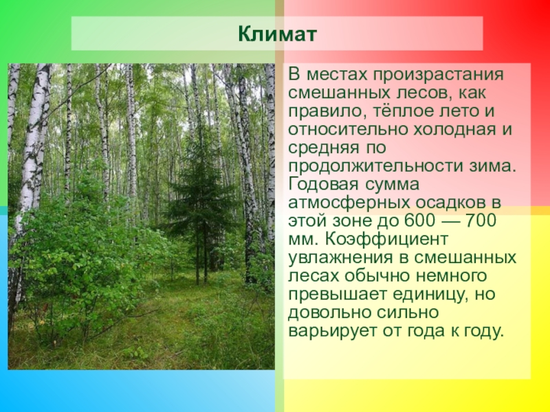 Смешанный лес факторы