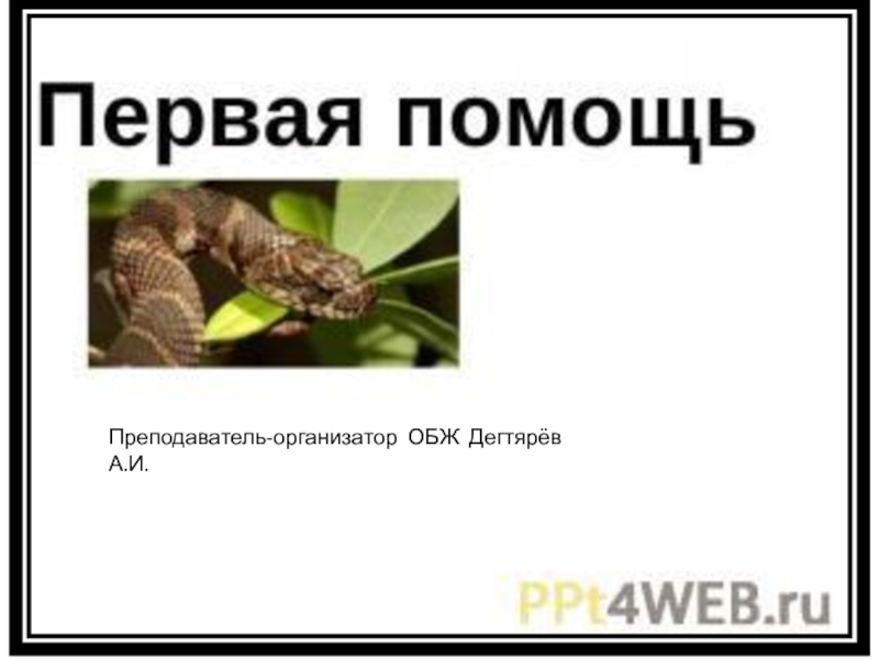 Презентация Презентация урока по ОБЖ на тему: Оказание ПМП при укусах змей и насекомых Урок 2 (6 класс)
