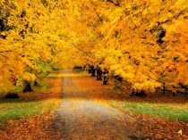 Внеклассное мероприятие Праздник осени (презентация)