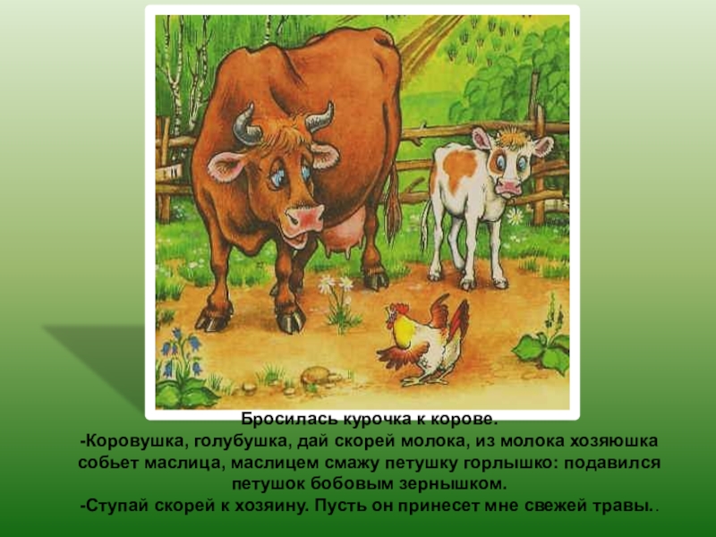 Бросилась курочка к корове.-Коровушка, голубушка, дай скорей молока, из молока хозяюшка собьет маслица, маслицем смажу петушку горлышко: