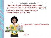 Презентация Организация развивающей предметно-пространственной среды (РППС) в группах раннего возраста в соответствии с требованиями ФГОС ДО