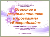 Освоение и результативность программы Бисеродизайн