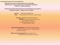 Выращивание томатов на узких грядах