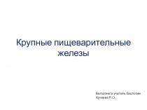 Презентация по биологии на тему Пищеварительные железы