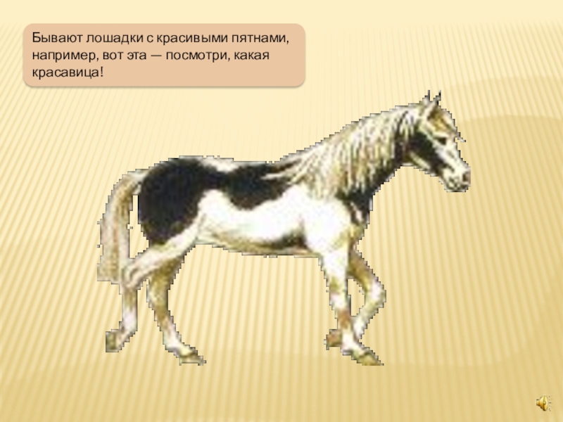 Где встречается такое что конь. Лошадь в пятнах. Какие бывают лошади презентация для детей. Задачи про лошадей для детей. Лошадка задания.