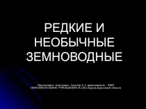 Редкие и необычные земноводные