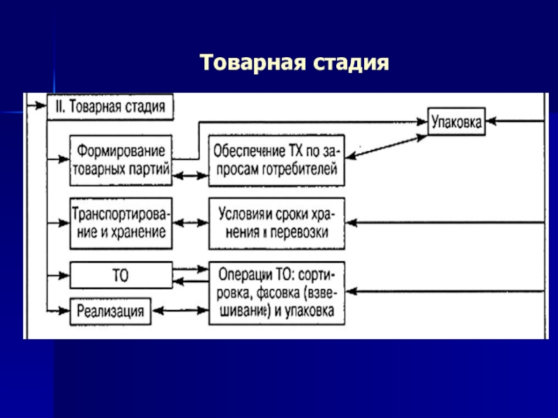 Чем раньше стадия. Товарная стадия. Этапы товарной стадии. Укажите этапы товарной стадии. Товарно Технологический этап.