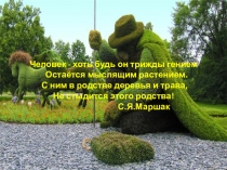 Презентация по биологии для 6 класса на тему: Историческое развитие растительного мира на Земле