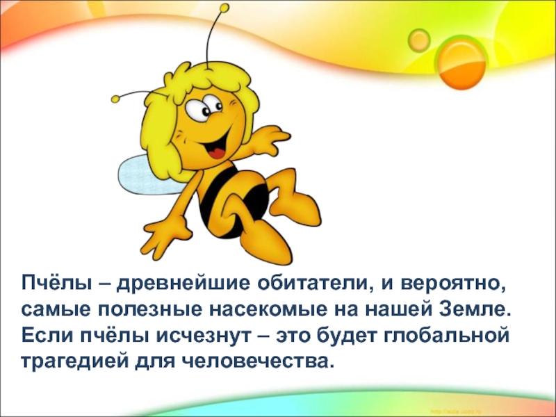 Информация о пчелах 2 класс окружающий. Факты о пчелах для детей. Пчела для дошкольников. Доклад о пчелах. Проект про пчел.
