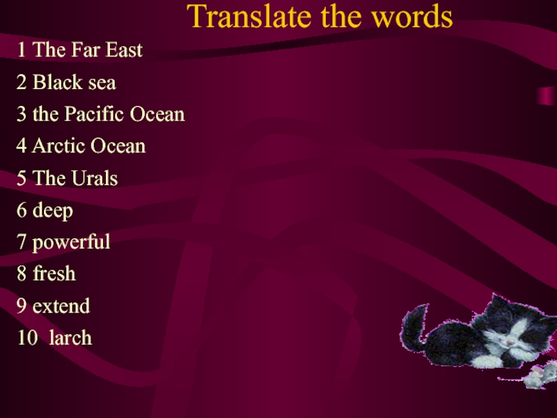 Translate the words1 The Far East2 Black sea3 the Pacific Ocean4 Arctic Ocean5 The Urals6 deep7