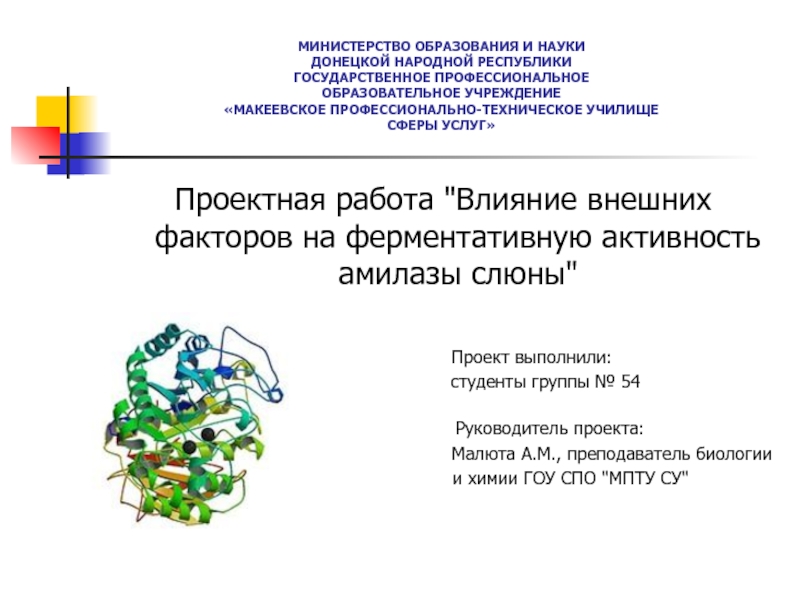 Проектная работа Влияние внешних факторов на ферментативную активность амилазы слюны