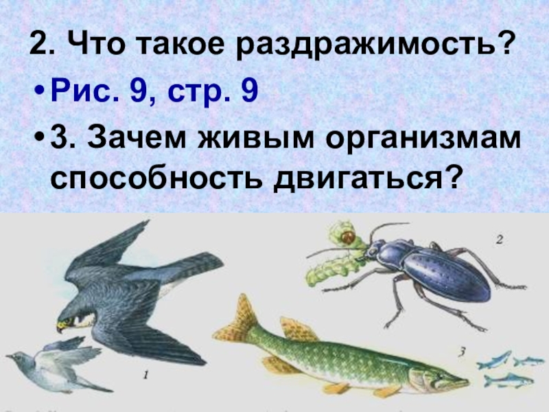 Свойства живых организмов 5 класс. Что такое раздражимость в биологии 5 класс. Презентация по биологии на тему 