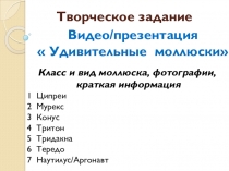 Презентация Творческие задания по биологии 7 класс