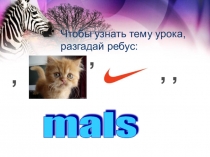 Презентация к открытому уроку Pets and other animals