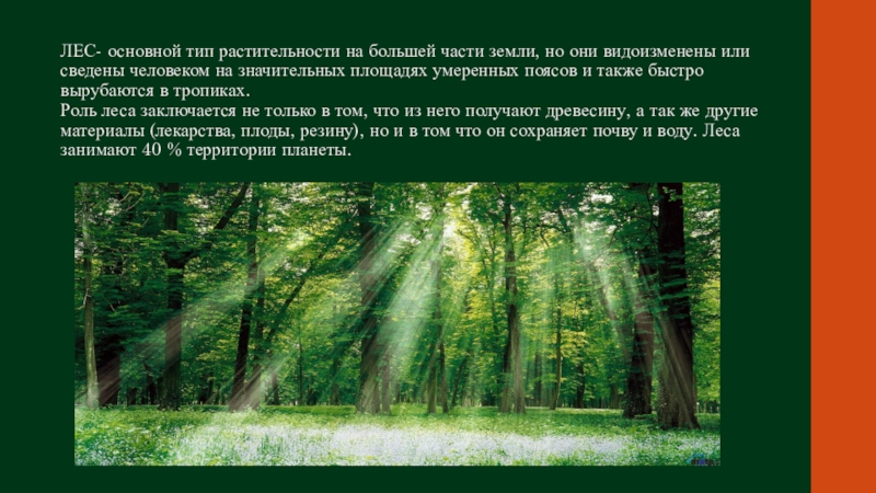 Леса надо. Презентация на тему берегите лес. Тип растительности леса. Слайд береги лес. Презентация на тему береги лес.