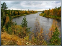 Презентация Природа Севера к уроку