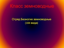 Презентация по биологии Многообразие земноводных животных (7 класс)