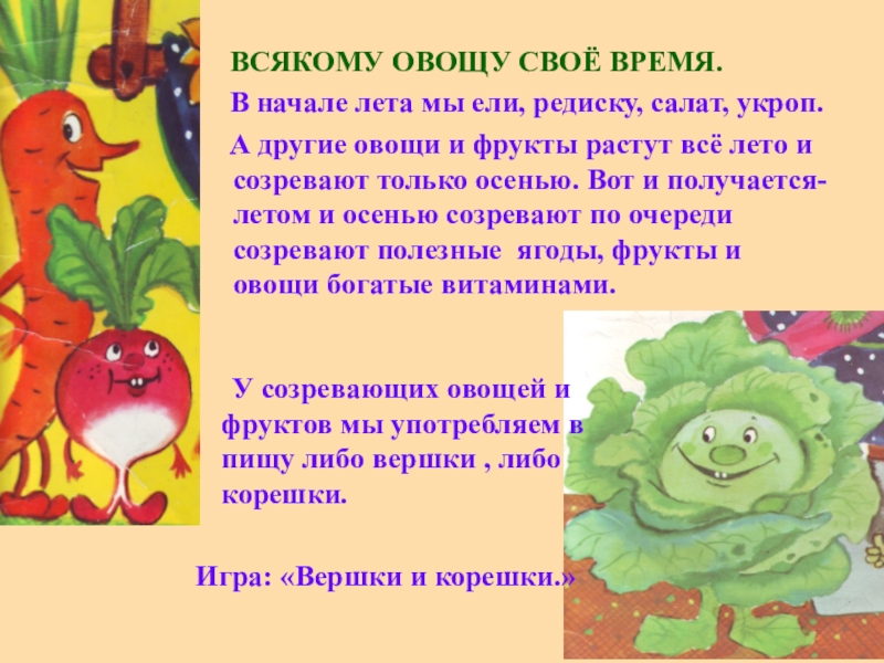 Каждому овощу