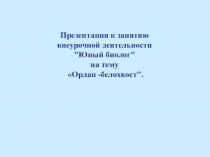 Презентация к занятию внеурочной деятельности Юный биолог на тему Орлан-белохвост.