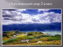 Презентация по окружающему миру на тему