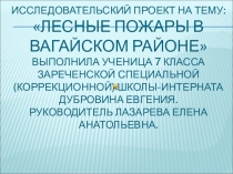 Проект-презентация на тему Лесные пожары