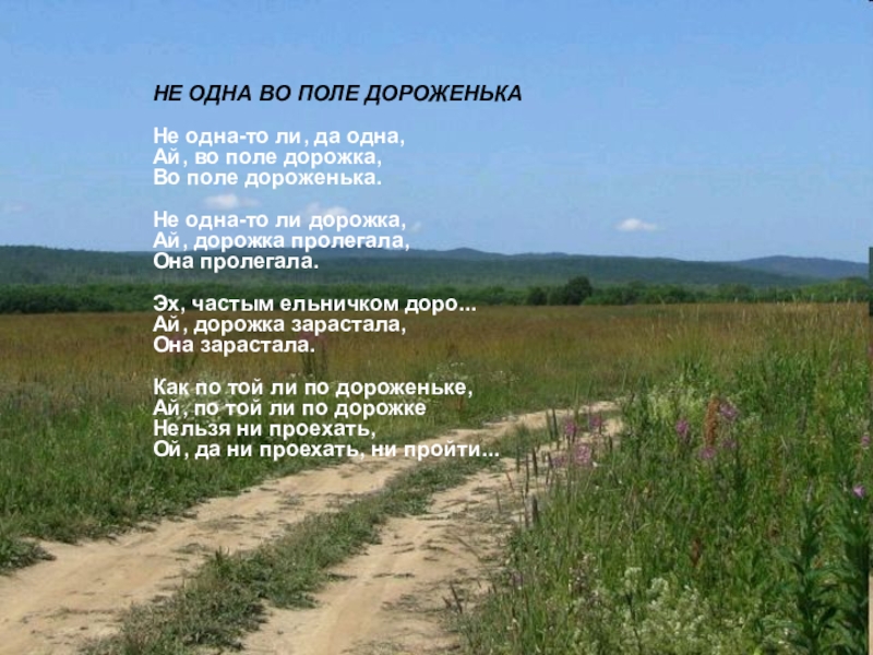 Найти слова в поле. Не одна во поле дороженька Пролегала. Не одна во поле дороженька текст. Песня не одна во поле дороженька Пролегала. Слова во поле дороженька.