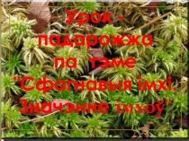 Презентация Сфагновые мхи. Значение мхов